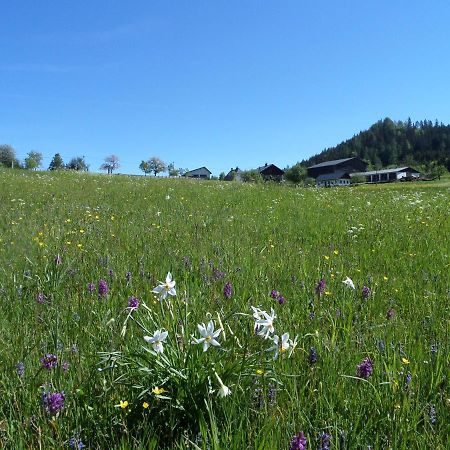 Bauernhof Ablass Göstling an der Ybbs Esterno foto