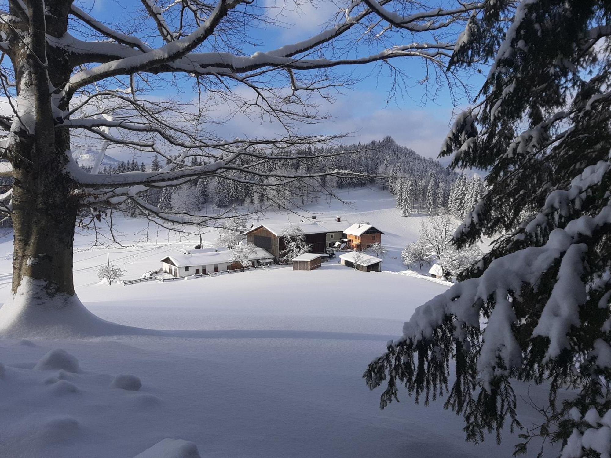 Bauernhof Ablass Göstling an der Ybbs Esterno foto