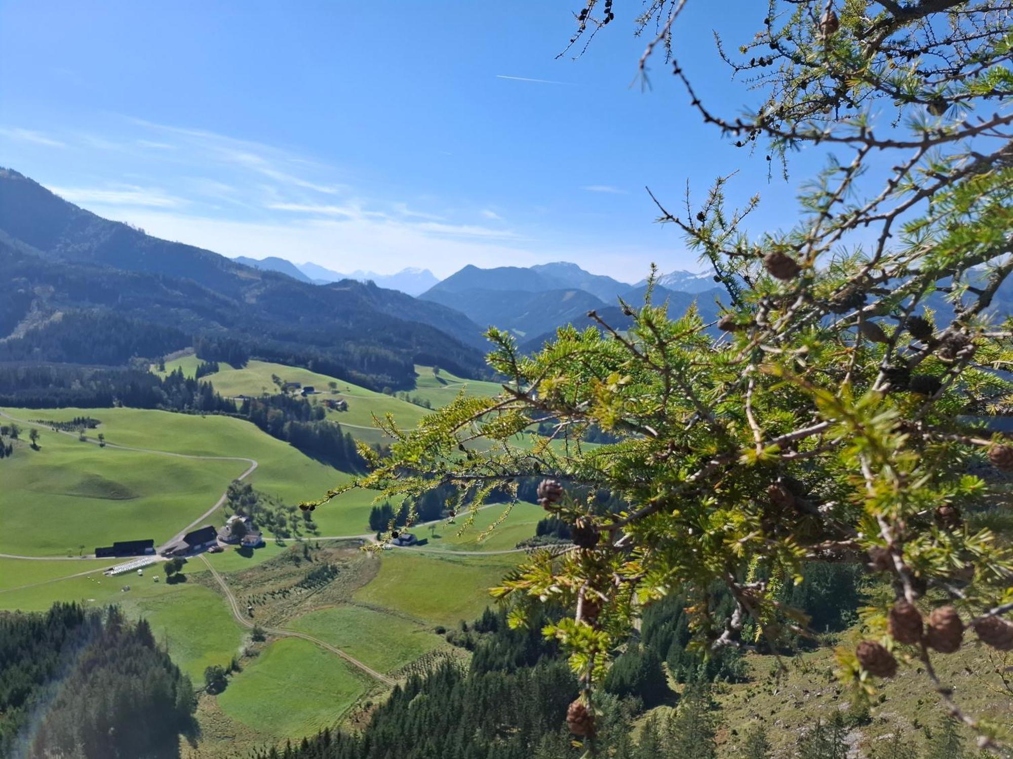 Bauernhof Ablass Göstling an der Ybbs Esterno foto