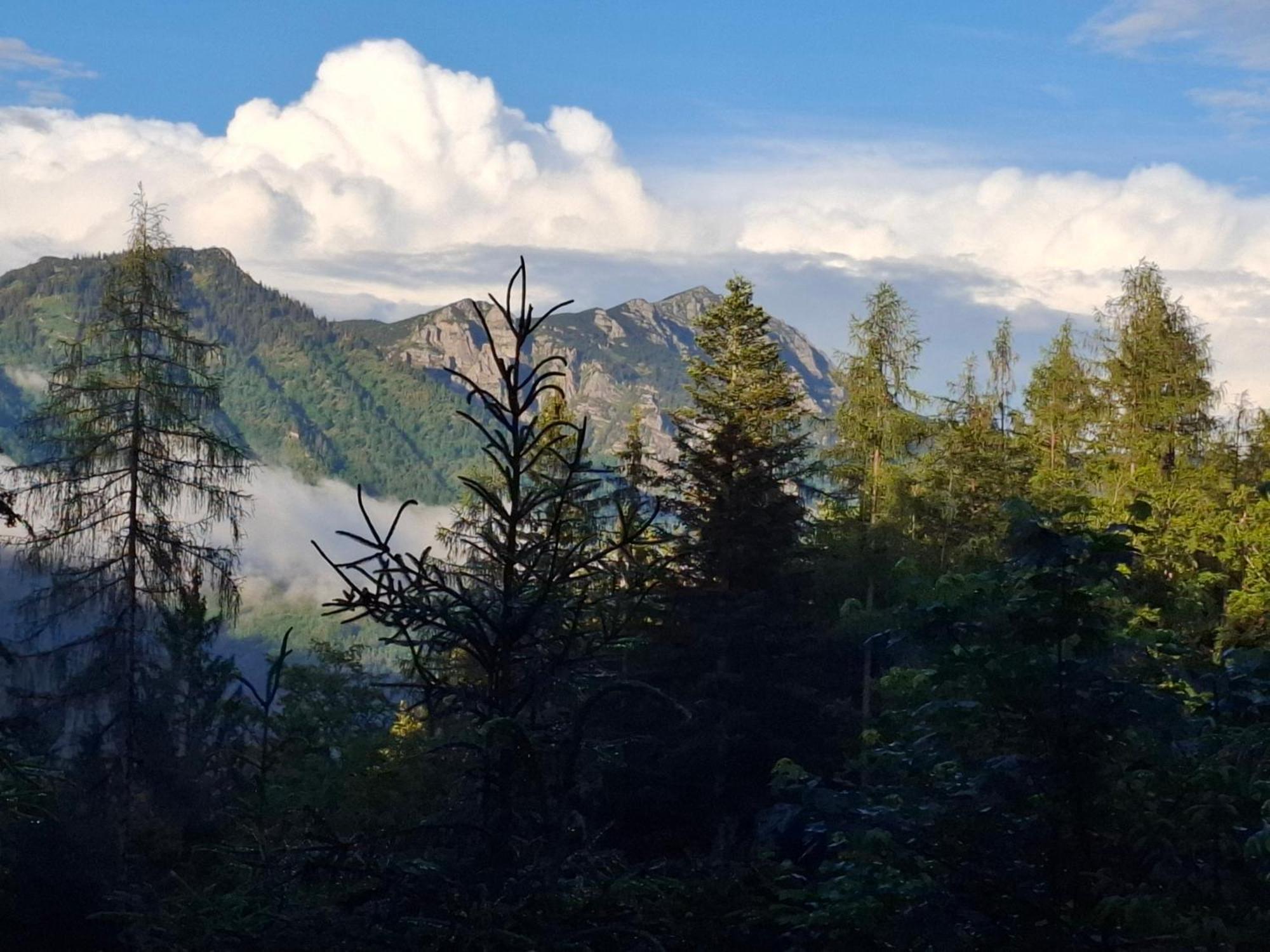 Bauernhof Ablass Göstling an der Ybbs Esterno foto