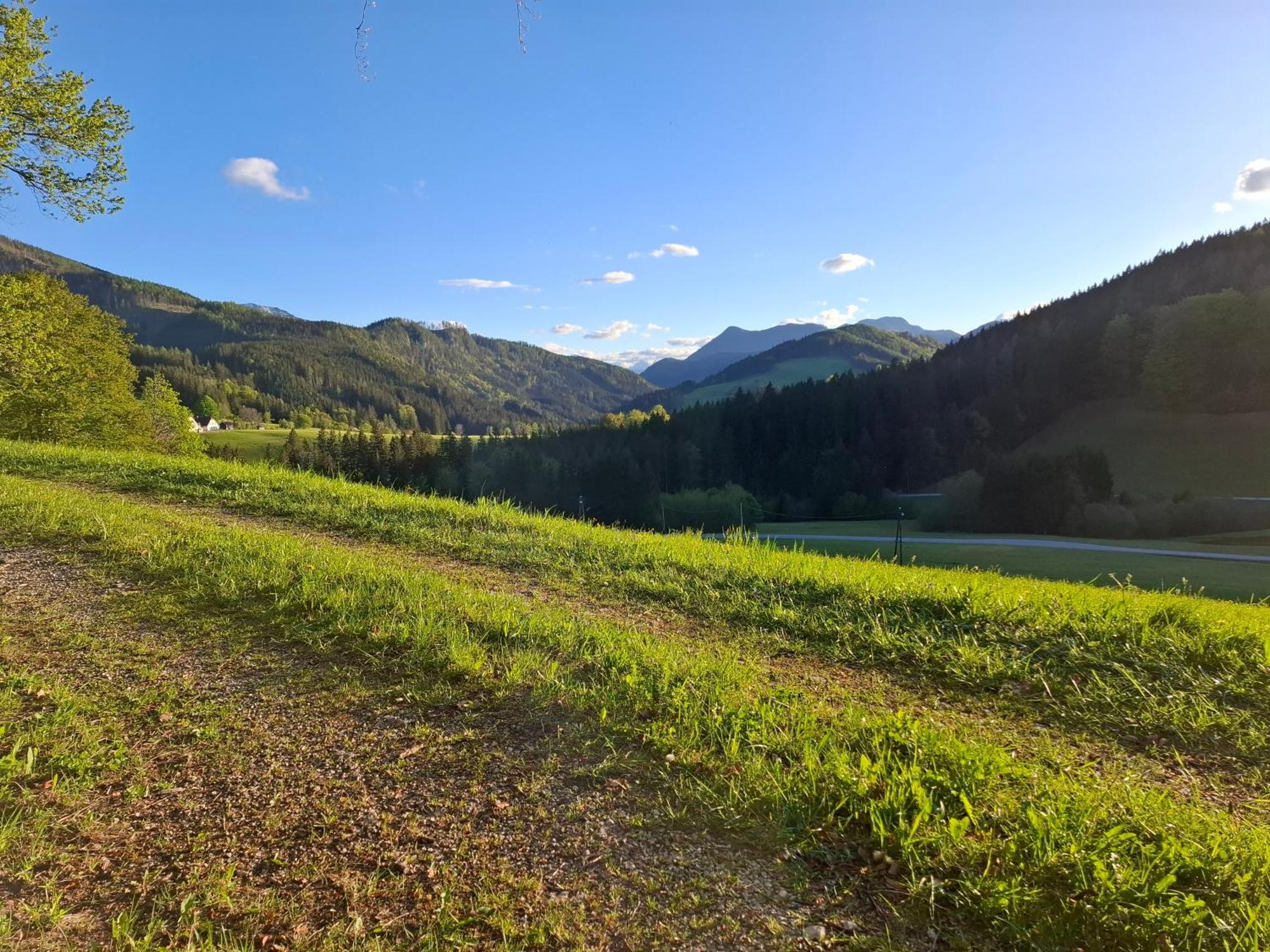 Bauernhof Ablass Göstling an der Ybbs Esterno foto