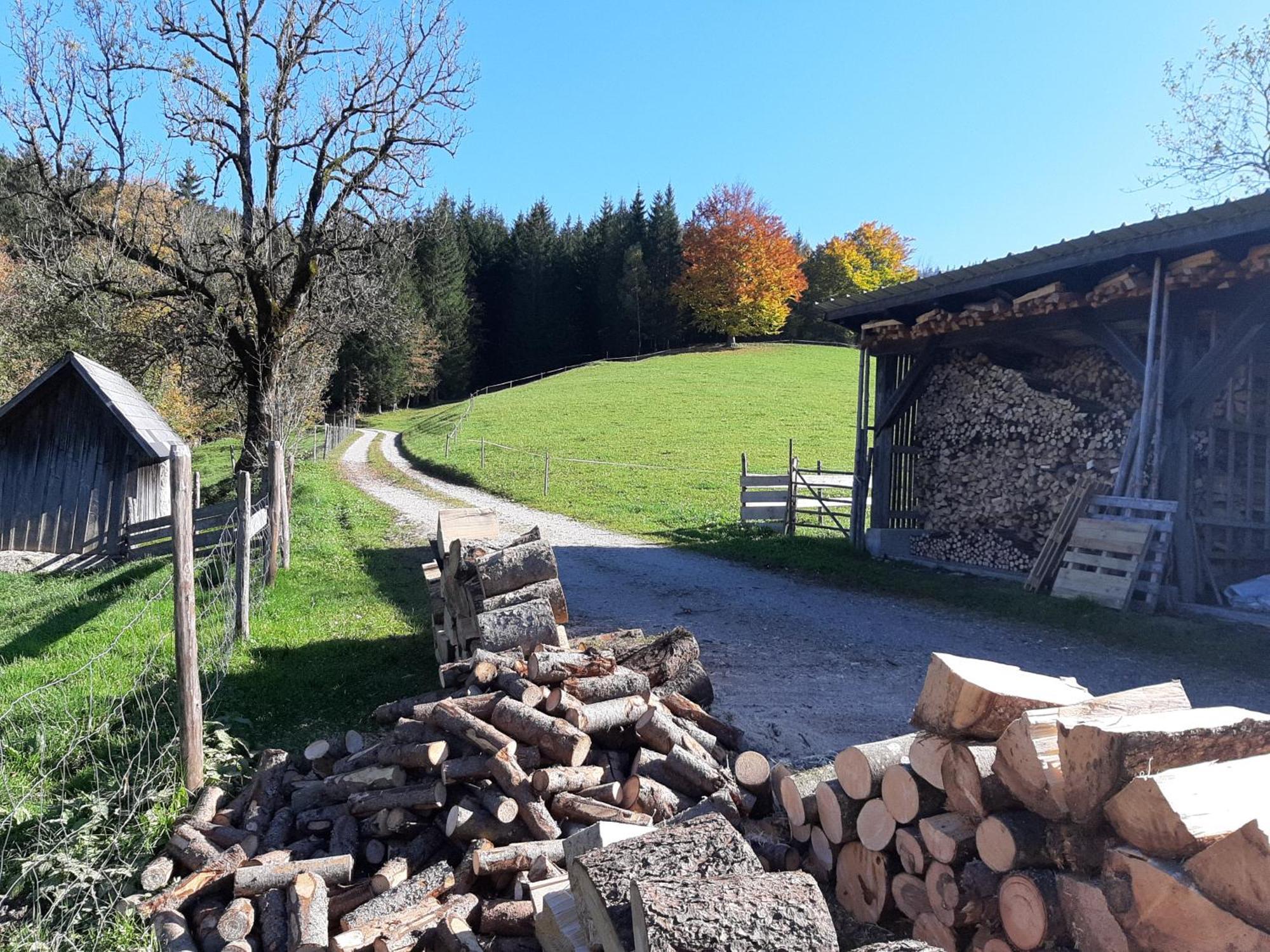 Bauernhof Ablass Göstling an der Ybbs Esterno foto