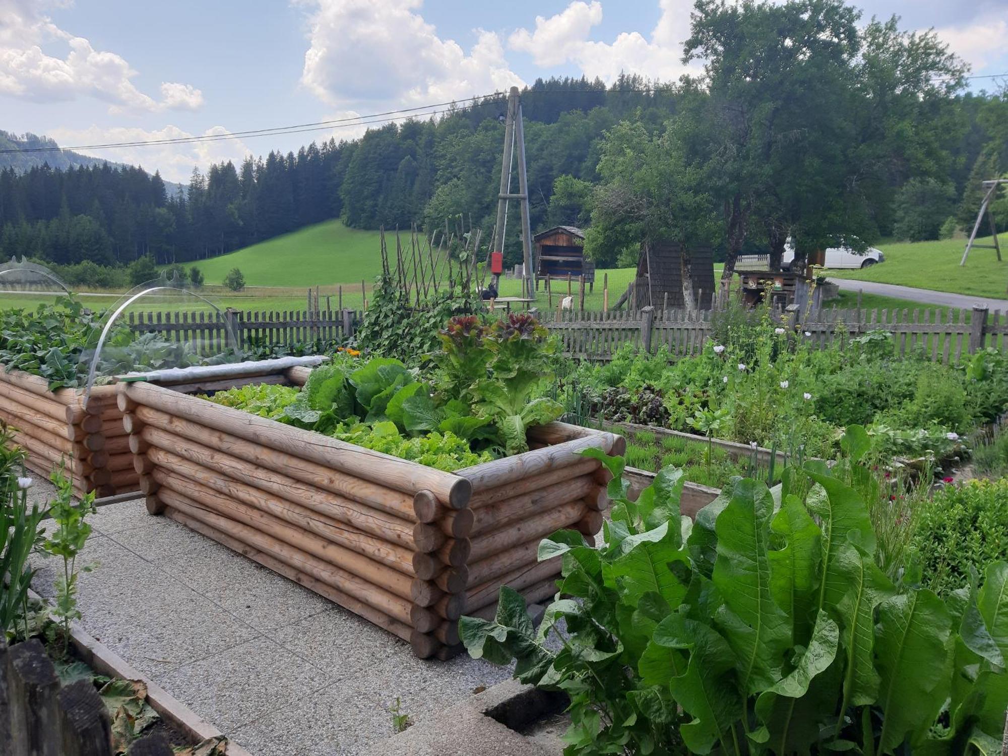 Bauernhof Ablass Göstling an der Ybbs Esterno foto