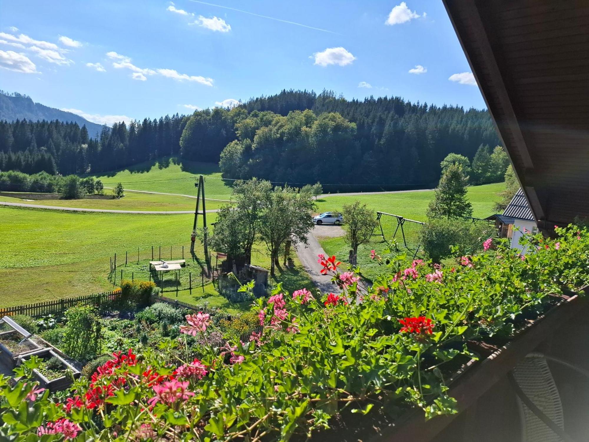 Bauernhof Ablass Göstling an der Ybbs Esterno foto