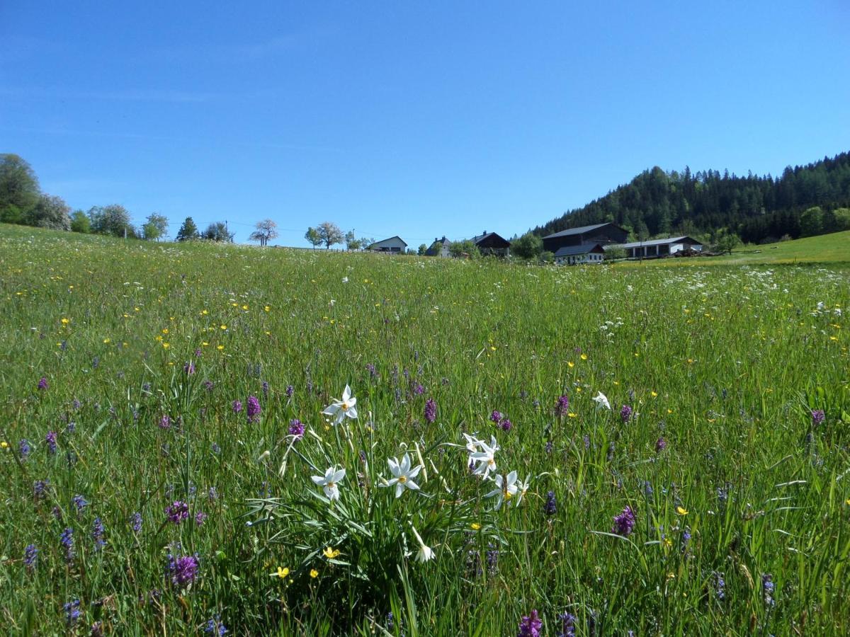 Bauernhof Ablass Göstling an der Ybbs Esterno foto